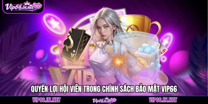 Quyền lợi hội viên trong chính sách bảo mật VIP66